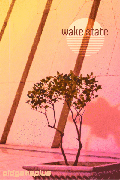 Wake State