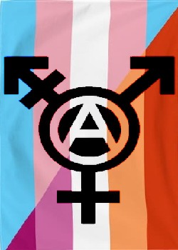 A Simple Story About Wild Girls