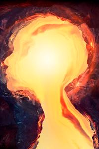 Chronicles of the Spider