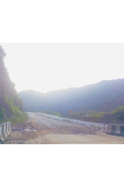 Three Hearts, One Destiny