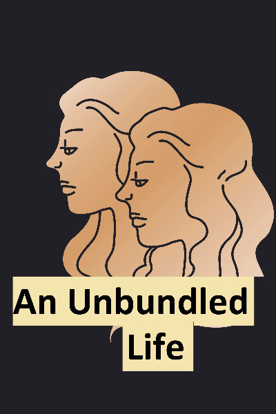 An Unbundled Life - A Midlife LitRPG
